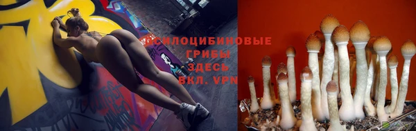 ALPHA PVP Армянск