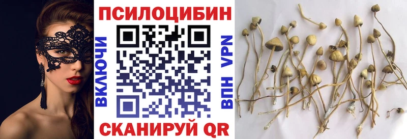 Псилоцибиновые грибы Psilocybine cubensis  дарнет шоп  Урень 